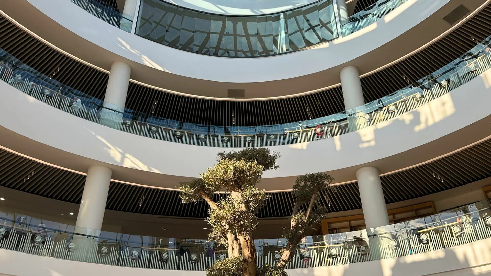 Proiecte Tavane Suspendate