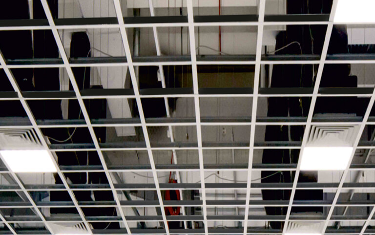 Sistem Purtător T24